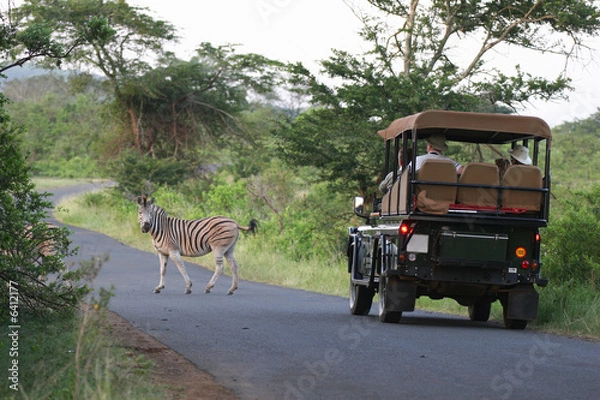 Obraz Discovering the wildlife