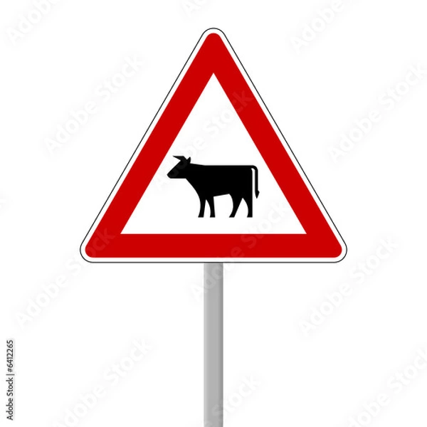 Fototapeta verkehrszeichen kühe