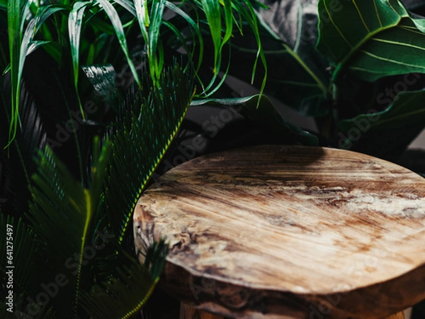 Fototapeta Table wood podium on green plant background, natural product present placement pedestal stand display,spring or summer concep