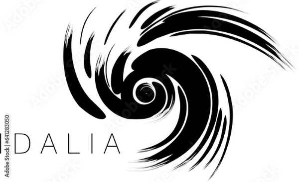 Fototapeta An abstract vector illustration of Category 4 Hurricane Idalia in black brush strokes on an isolated white background