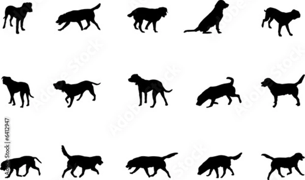 Obraz dogs silhouettes