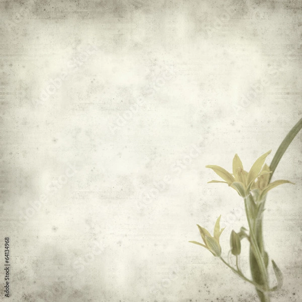 Fototapeta textured old paper background