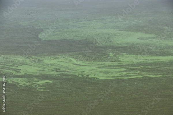 Obraz Algen im Mittellandkanal