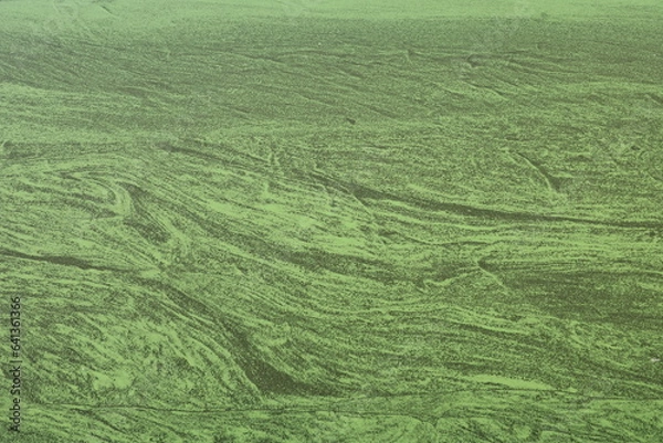 Obraz Algen im Mittellandkanal