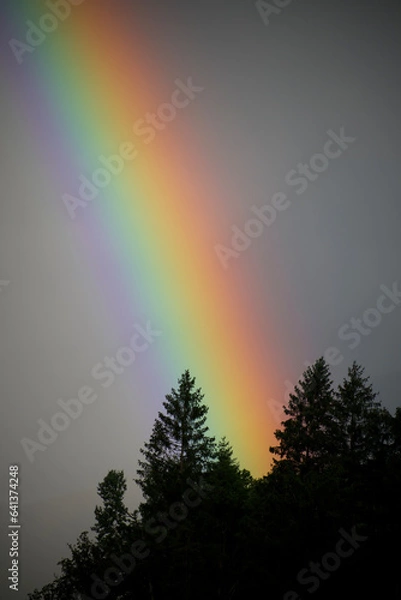 Fototapeta Arcobaleno 