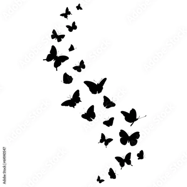 Obraz Butterflies