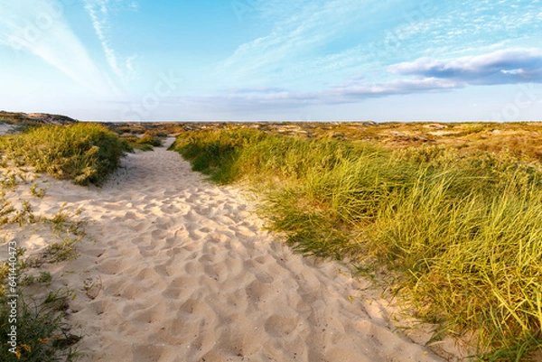 Fototapeta Path of sand with dunes