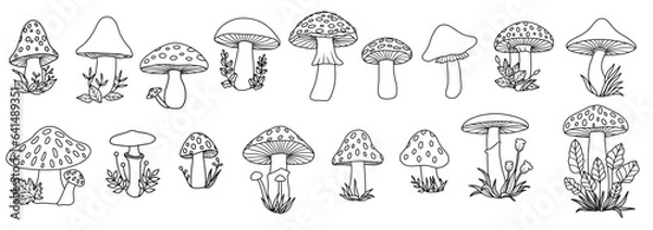 Obraz Vector Mushroom Line Art Illustration Bundle, Hand drawn