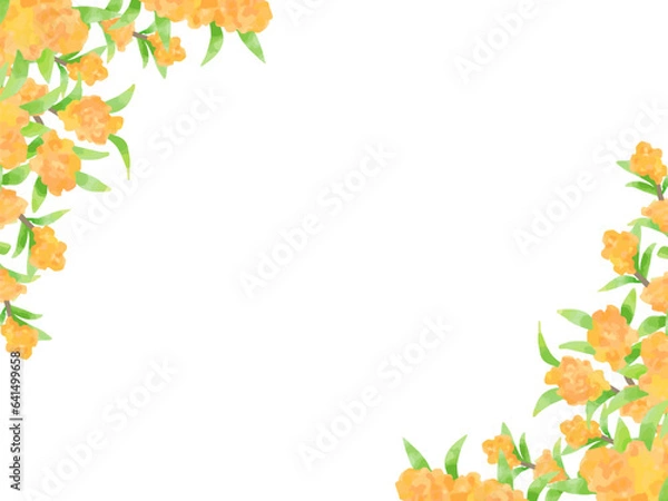 Fototapeta 水彩で描いた金木星のイラストのフレーム