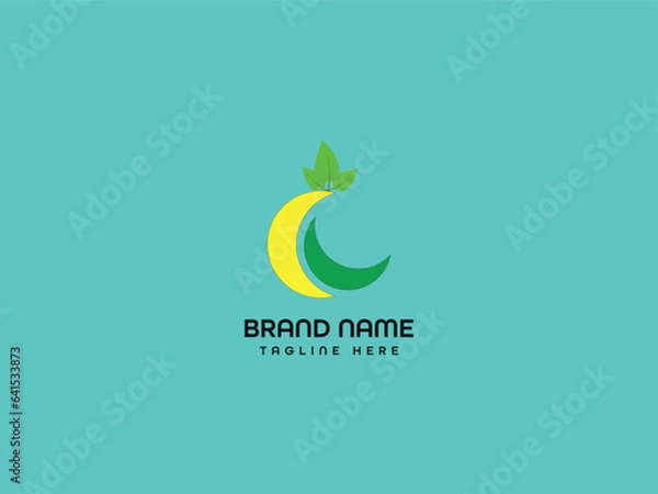 Obraz letter logo design