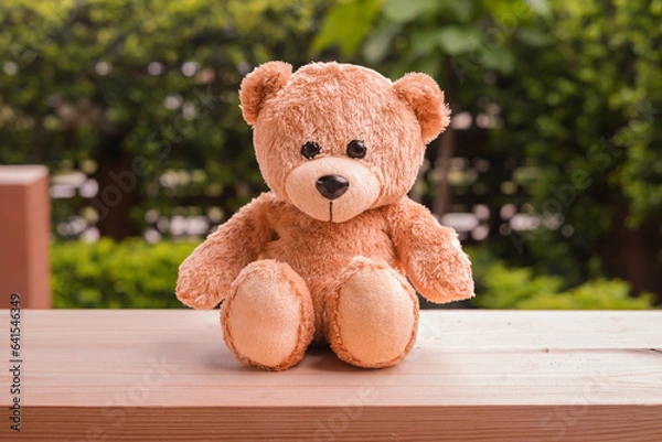 Obraz Teddy bear on wood