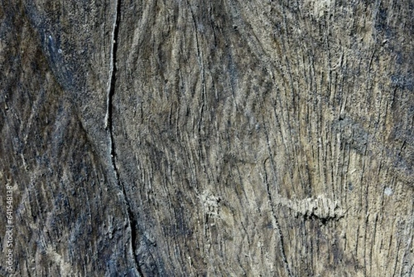 Fototapeta Old dry wood texture brown with cracks for the background.