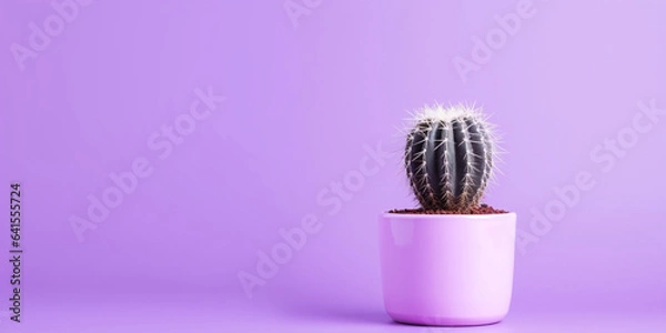 Obraz cactus free space
