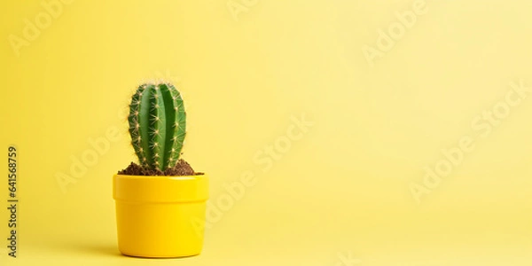 Obraz cactus in a pot
