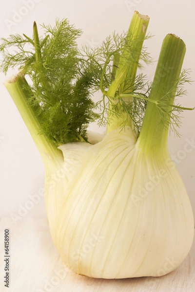 Obraz Fennel.
