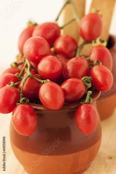 Obraz Cherry tomatoes