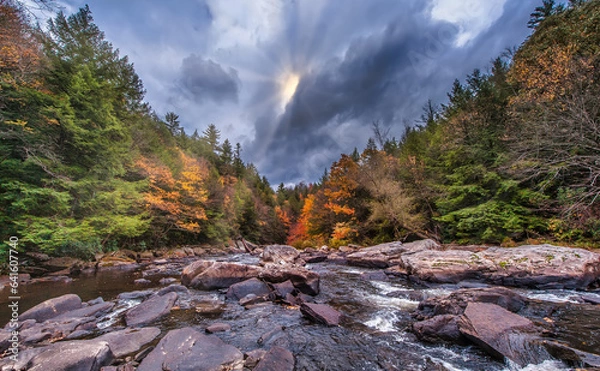 Obraz Wild River in the Appalachian Mountains during peak Autumn Colors