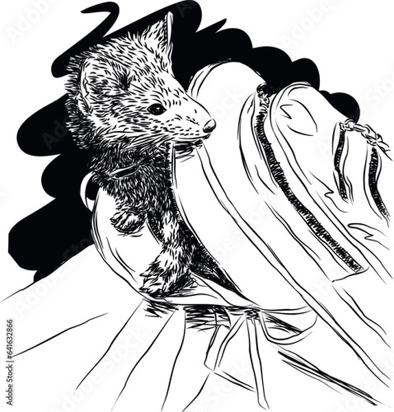 Fototapeta Sketch of a sable peeking out of a backpack