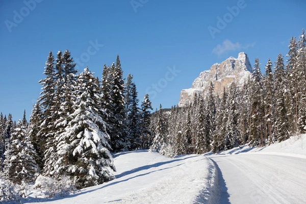 Obraz Bow Valley Parkway