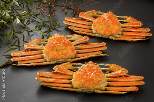 Fototapeta 黒背景のずわい蟹集合