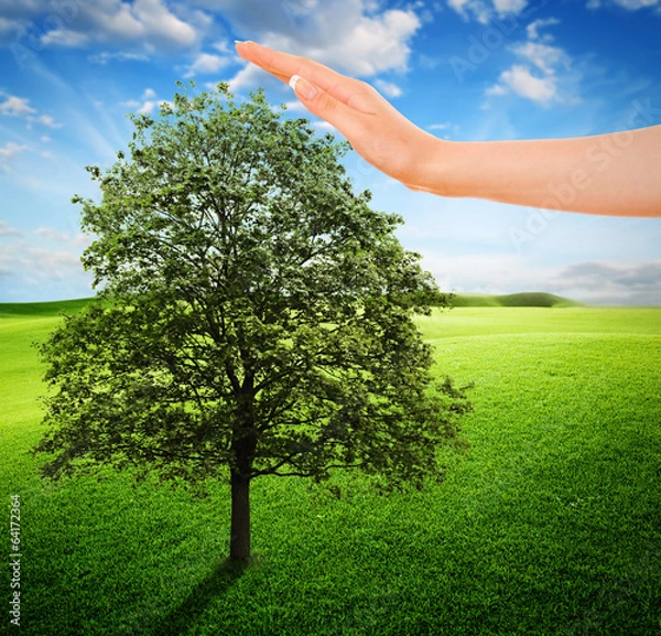 Obraz Ecosistema e Natura