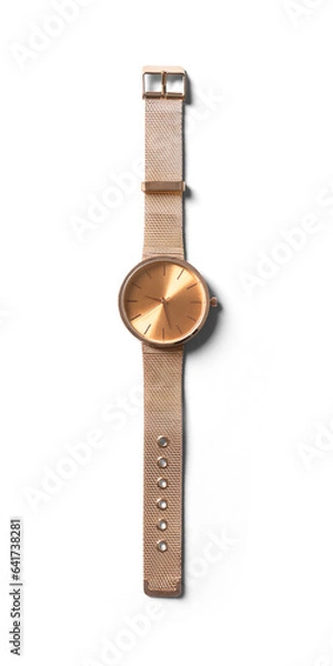 Obraz Rose Gold Watch