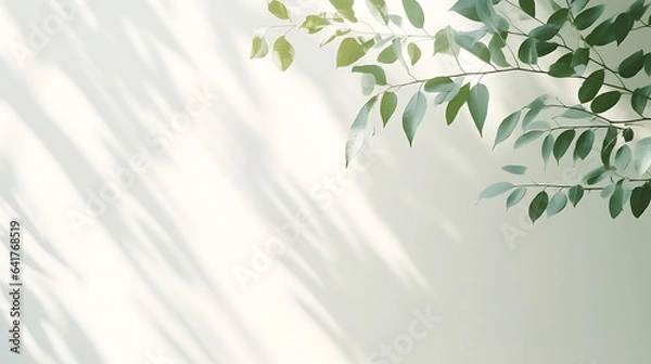 Fototapeta Minimalistic light background with blurred foliage shadow on a white wall