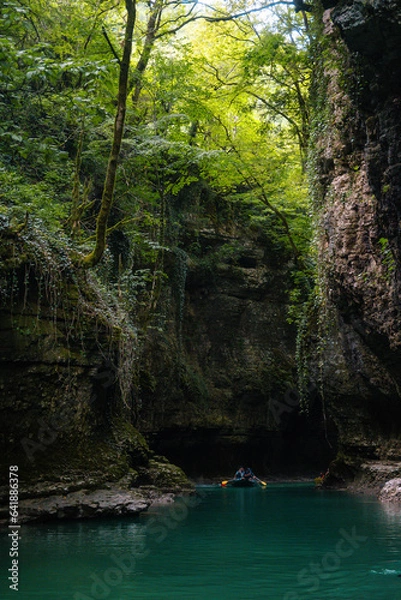 Obraz river in the forest