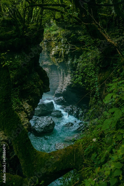Obraz waterfall in the forest