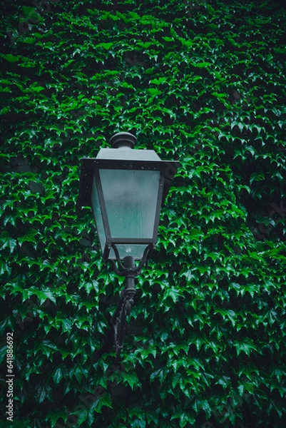 Obraz old street lamp