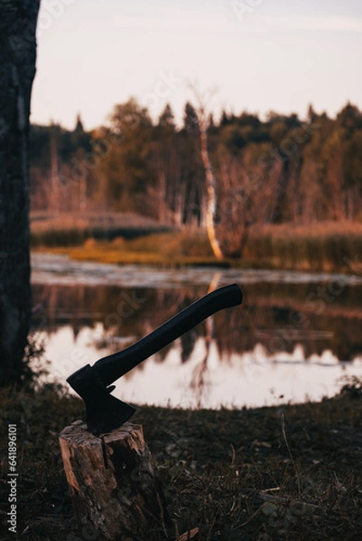 Obraz the branch at sunset