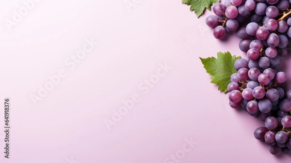 Fototapeta Purple grape banner with blank space, purple gradient background