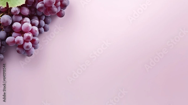 Fototapeta Purple grape banner with blank space, purple gradient background