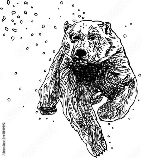 Fototapeta Grizzly bear under snow sketch black and white vector graphics
