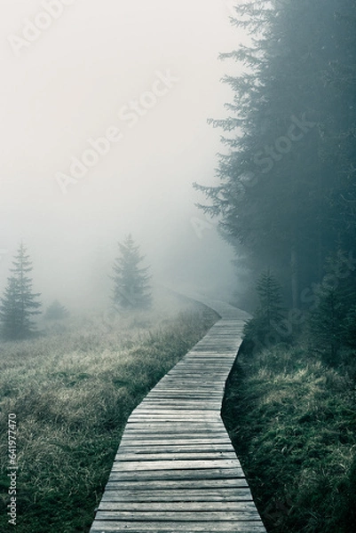 Obraz Szlak w górach