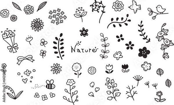 Obraz シンプルな花植物の手描き線画セット