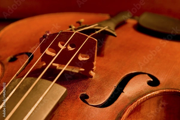 Obraz Violin detail