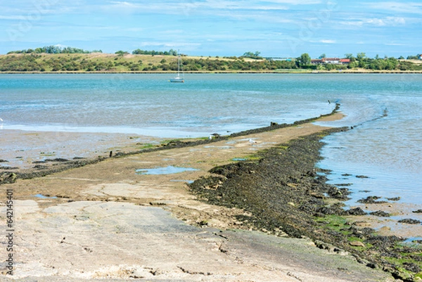 Fototapeta Old Slipway in the Swale Estuary taken from Oare near Faversham - Kent with the Isle of Sheppey in the distance