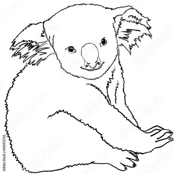 Fototapeta Smiling friendly koala for kids and teenagers