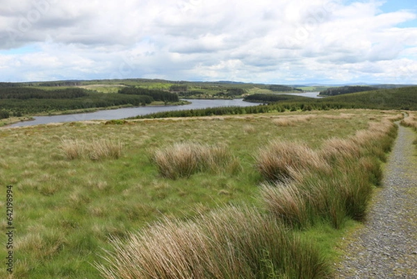 Obraz landscape with grass and sky