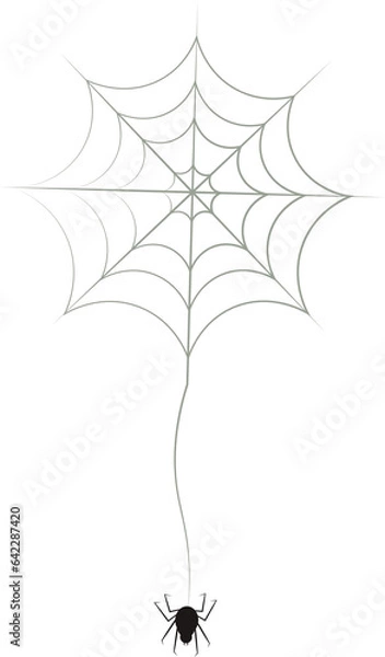Fototapeta Cyfrowa ilustracja Black Spider Hunging z Internetu na przezroczystym tle