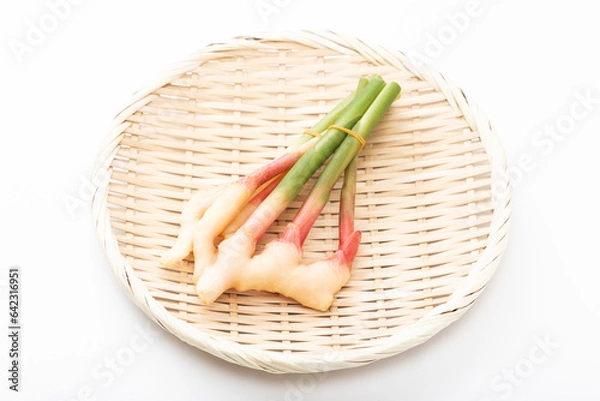 Fototapeta 白背景に葉生姜