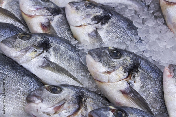 Obraz Fresh red fish on ice.