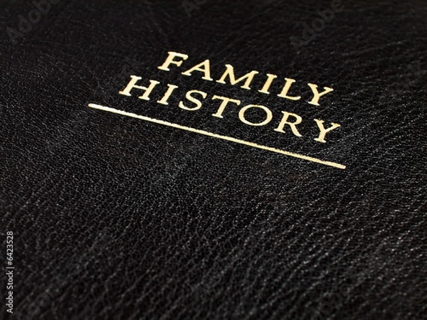 Obraz Family History Embossed Book Cover