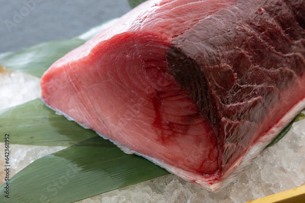 Obraz 本鮪のブロック