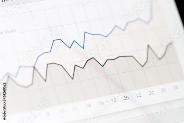 Fototapeta Graph Chart on Monitor Screen