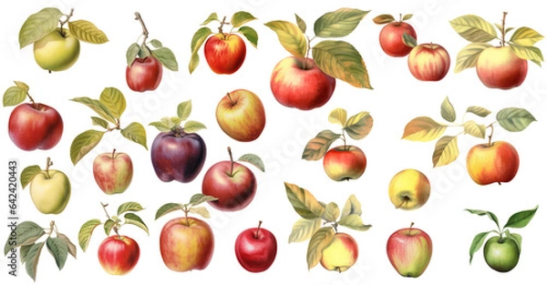 Fototapeta Set of various apples, PNG. Apple with leaf, Generative AI	
