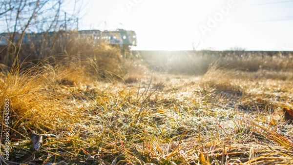 Obraz 朝の上信電鉄