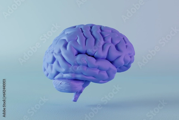 Obraz 3D render of a blue male human brain on blue background. Concept for male and boy intuition and intelligence in medical and neurological science.