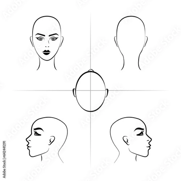 Fototapeta Diagram of woman head for hairstylist. Manual for beauty salon, lesson, masterclass, barbershop. Woman's face in front, profile, from above. Vector realistic line sketch illustration